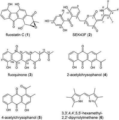 Marine Bacterial Aromatic Polyketides From Host-Dependent Heterologous Expression and Fungal Mode of Cyclization